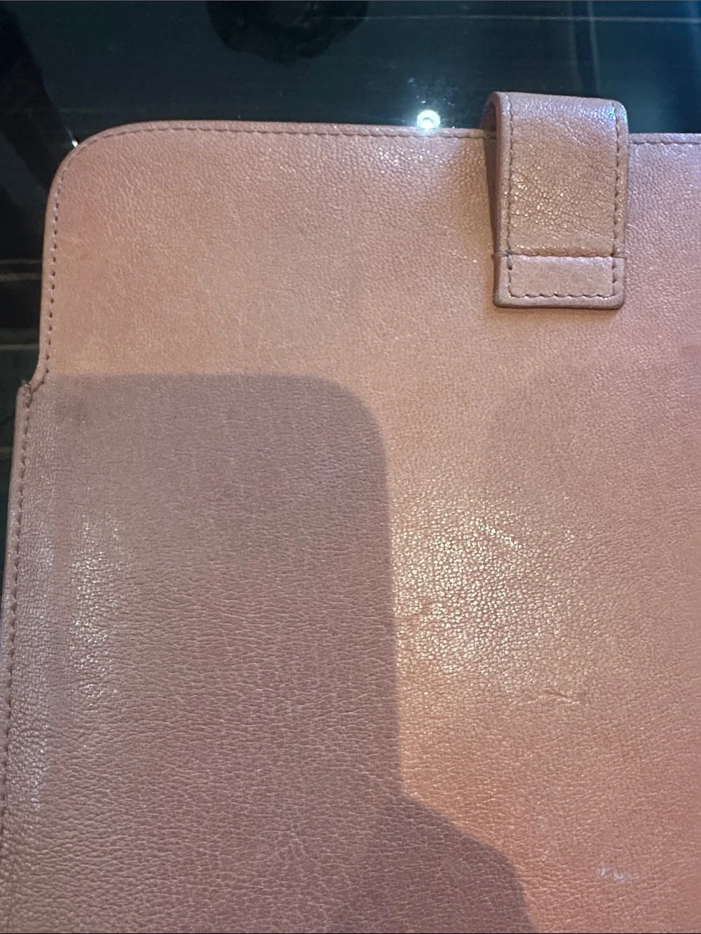 Alexander McQueen skull coral iPad case